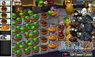 植物大战僵尸爆料最新,神秘新植物曝光，全新冒险即将开启！